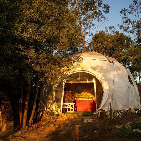Forest Harmony Knysna Ngoại thất bức ảnh