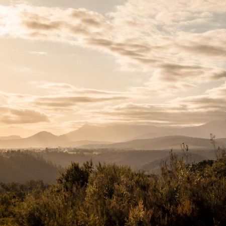 Forest Harmony Knysna Ngoại thất bức ảnh