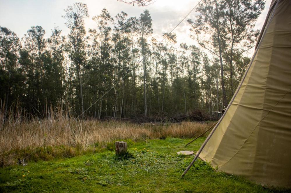 Forest Harmony Knysna Ngoại thất bức ảnh