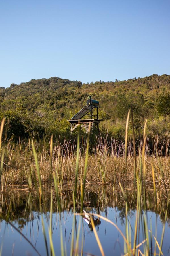 Forest Harmony Knysna Ngoại thất bức ảnh