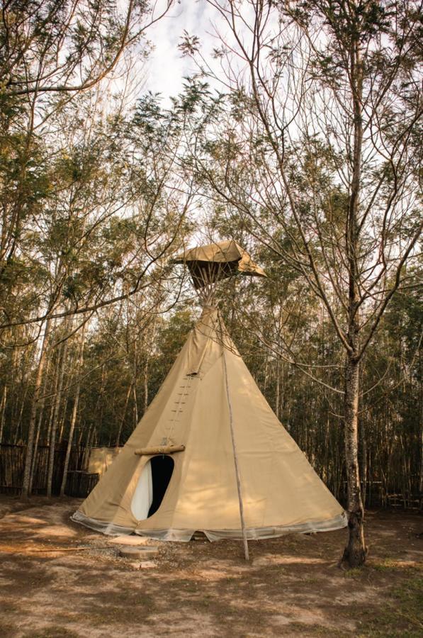 Forest Harmony Knysna Ngoại thất bức ảnh