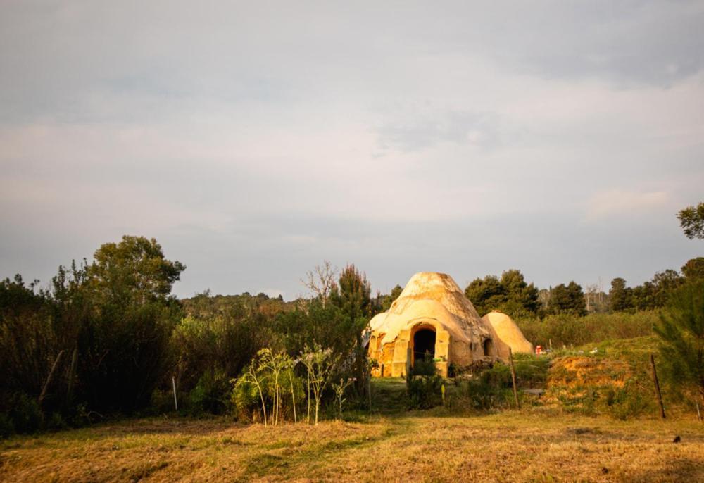 Forest Harmony Knysna Ngoại thất bức ảnh