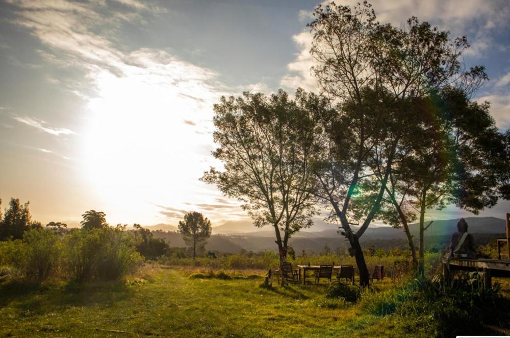 Forest Harmony Knysna Ngoại thất bức ảnh